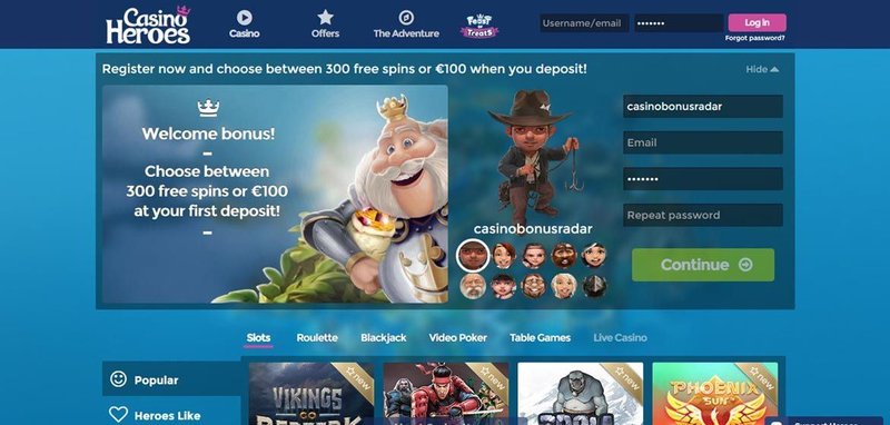 Overview of vegashero casino online